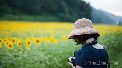 晚安心语:有些事,只有自己懂 (1)