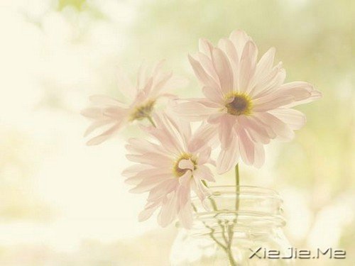 晚安心语:有些事,只有自己懂 (3)