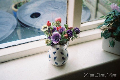 心是我的,可里面装的全是你